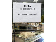 ���� �� ��������! ��� �������� � ��������!