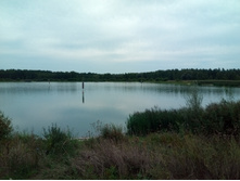 20210814 ����������� �������� 123051.jpg