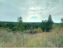 20210814 ����������� �������� 130847.jpg