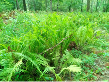 20210821 ������� � �����  103348.jpg