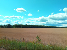 20210724 �400 ��������� �������� 101636.jpg