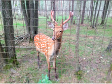 20210821 ������� � �����  142750.jpg