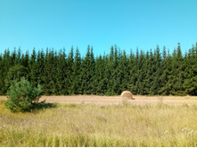 20210828 �300 ��������� 131749.jpg