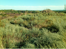 20210814 ����������� �������� 160102.jpg