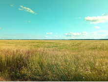 20210724 �400 ��������� �������� 165647.jpg