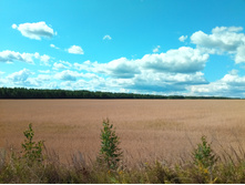 20210724 �400 ��������� �������� 101618.jpg