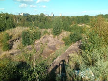 20210814 ����������� �������� 160054.jpg