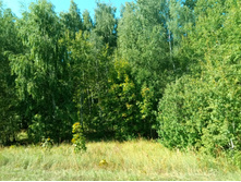 20210828 �300 ��������� 130449.jpg