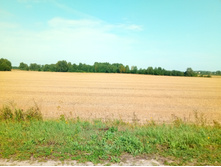 20210807 �200 ���������� 131646.jpg