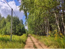 IMG 20210731 120240-01.jpeg