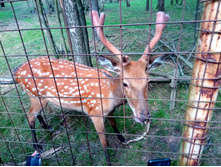 20210821 ������� � �����  141345.jpg