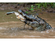 �������� �������� ����!