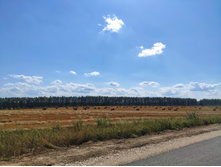 IMG 20210731 135824-01.jpeg