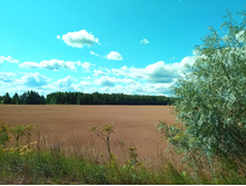 20210724 �400 ��������� �������� 101634.jpg