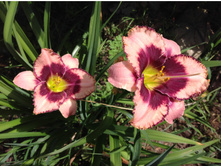 �������� ������ �������- 200  ���. ���� 1 �����!