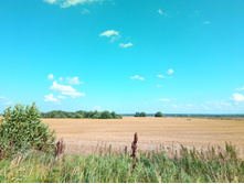 20210731 ��� ������ ������ 1449.jpg