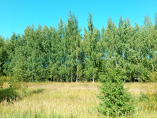 20210828 �300 ��������� 130745.jpg