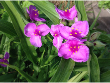 ������������ ��������� ������ ����