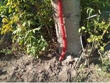 20210814 ����������� �������� 153657.jpg