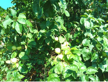 20210731 ��� ������ ������ 1440.jpg