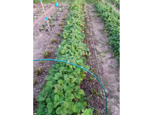 ��� ������ �� � ����� ������� �������