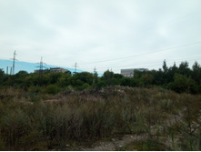 20210814 ����������� �������� 125432.jpg