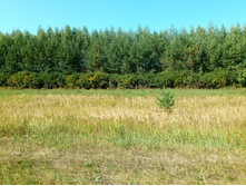 20210828 �300 ��������� 130244.jpg