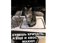 ������ �������, � �ݣ � ������� �����!