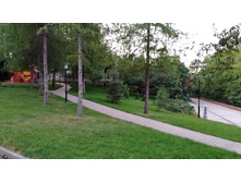 IMG 20210731 200407.jpg