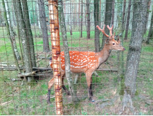 20210821 ������� � �����  142701.jpg