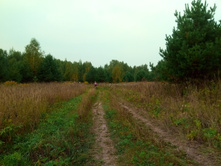 20210821 ������� � �����  111558.jpg