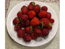 ��������� ���� ����