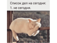 ������ ��� �� �������. 1. �� �������