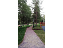 IMG 20210731 200834.jpg