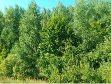 20210828 �300 ��������� 130452.jpg