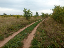 20210821 ������� � �����  173831.jpg