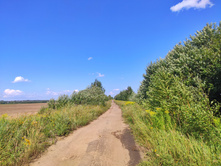 IMG 20210731 145130-01.jpeg