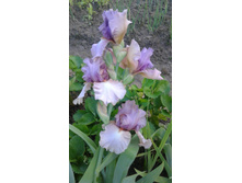 1 Keeping up appearances.jpg