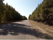 20210828 �300 ��������� 134051.jpg