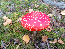 20210918 �� ����� ����� �� ������� 121825.jpg