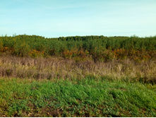 20210911 �200 ��������� 094027.jpg