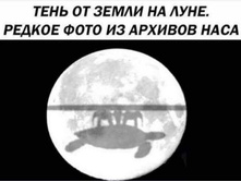 216145 6 nevsedoma com ua.jpg