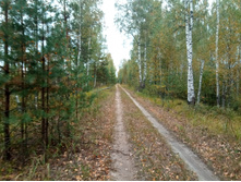 20210918 �� ����� ����� �� ������� 141617.jpg