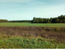 20210911 �200 ��������� 093744.jpg