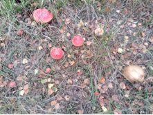 20210918 �� ����� ����� �� ������� 133335.jpg