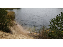 IMG 20210918 131500.jpg