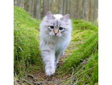 � ��� � � ...