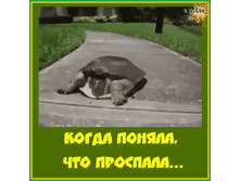 IMG 20210830 154250.gif