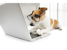 ��� ������� ����������?