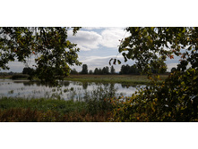 IMG 20210919 104504.jpg